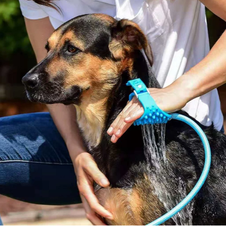 Planet Acqua Mangueira Massageadora com Escova de Banho Pet Cães Gatos